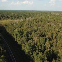 LA - Ouachita 80 acres - images 3