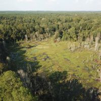 LA - Ouachita 80 acres - images 4