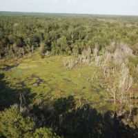 LA - Ouachita 80 acres - images 5