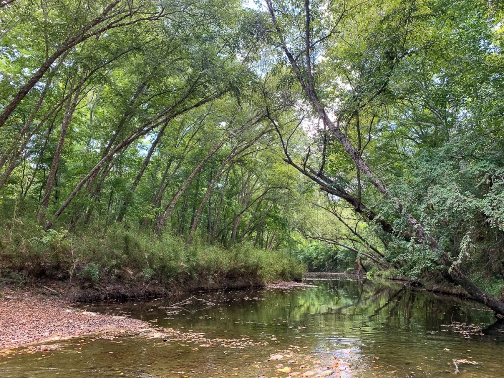 588 Acres The Game Preserve featured image