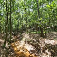 78 Acres in Wilkinson County in Crosby MS images 4