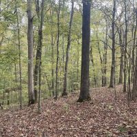 000 Raum Road Herrod IL 62947 images 5
