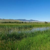 Needle Creek Ranch images 2