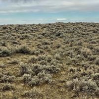 Central Montana Recreational Hunting Property for Sale images 4