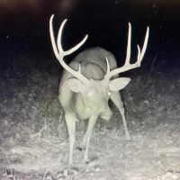 Hunting Land for Sale in Jefferson County MS