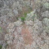 Hunting Land for Sale in Jefferson County MS images 2