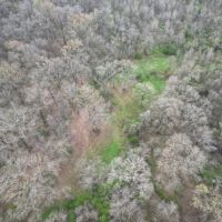Hunting Land for Sale in Jefferson County MS images 3
