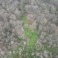 Hunting Land for Sale in Jefferson County MS images 5