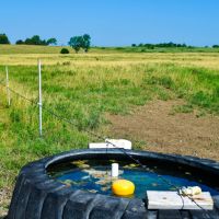 Osage County KS Land with Home images 4