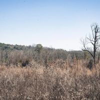 Residential Commercial Opportunities in North Lincoln Parish images 3
