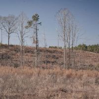 Residential Commercial Opportunities in North Lincoln Parish images 4