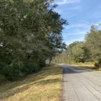 25 Acres in Jefferson County in Mt. Olive MS images 2