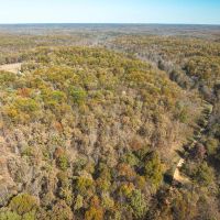 Leaning Tree Rd Versailles MO images 3