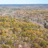 Leaning Tree Rd Versailles MO images 5