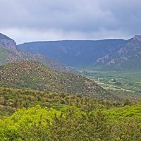 Bugling Bull Ranch images 1
