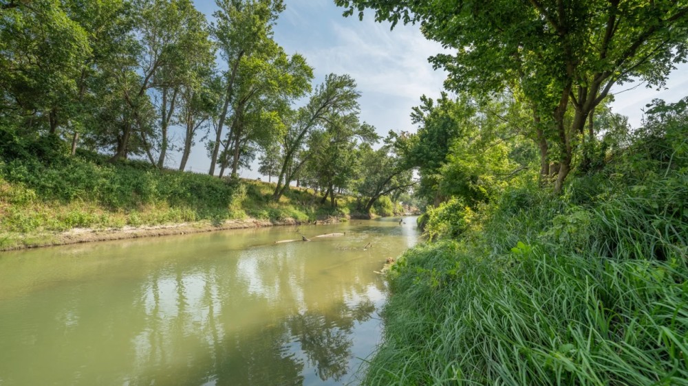 11.26 Acres in Milam County featured image