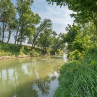11.26 Acres in Milam County
