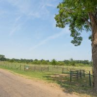 11.26 Acres in Milam County images 3