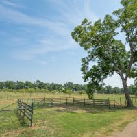 11.26 Acres in Milam County images 5