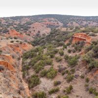 Turkey Creek Ranch