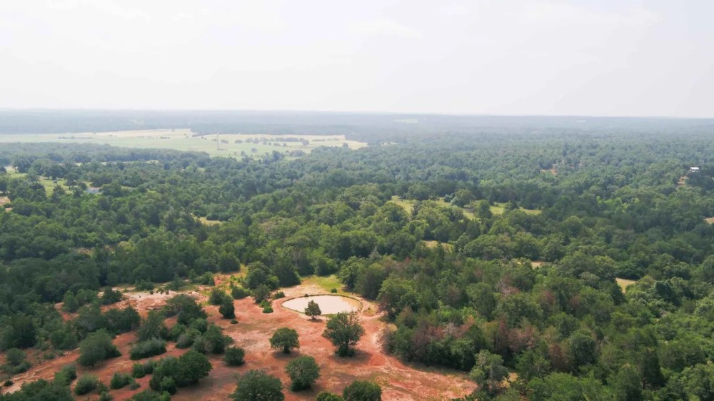 25 Acres in Milam County featured image