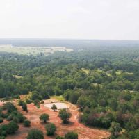 25 Acres in Milam County