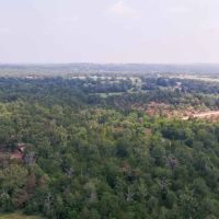 25 Acres in Milam County images 3