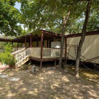 25 Acres in Milam County images 4