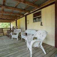 25 Acres in Milam County images 5