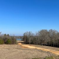 509 Acres in Winston County MS images 2