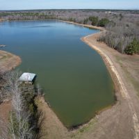 509 Acres in Winston County MS images 5