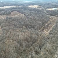 40 Acres in Bond County. images 5