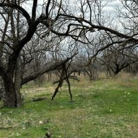 New Listing 15.731 Acres Tract 22 Callahan County