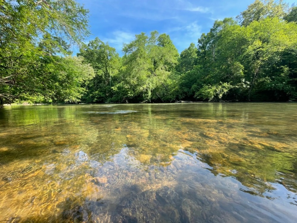 Choccolocco Creek Tract 282 - ac featured image