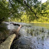 Choccolocco Creek Tract 282 - ac images 2
