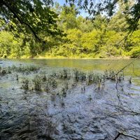 Choccolocco Creek Tract 282 - ac images 3