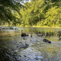 Choccolocco Creek Tract 282 - ac images 4