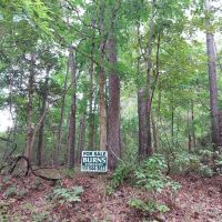 2 Acres Near Natl. Forest