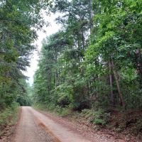 2 Acres Near Natl. Forest images 2