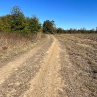 LA - Richland 43 acres -