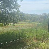 LA - Morehouse 96 acres -