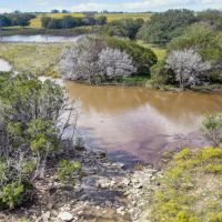TBD State Highway 220 Unit 138 Hico Texas 76457 images 2