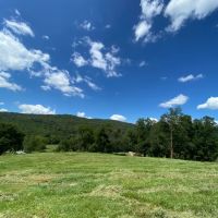 580ac - The Bolo Club in Tennessee images 5