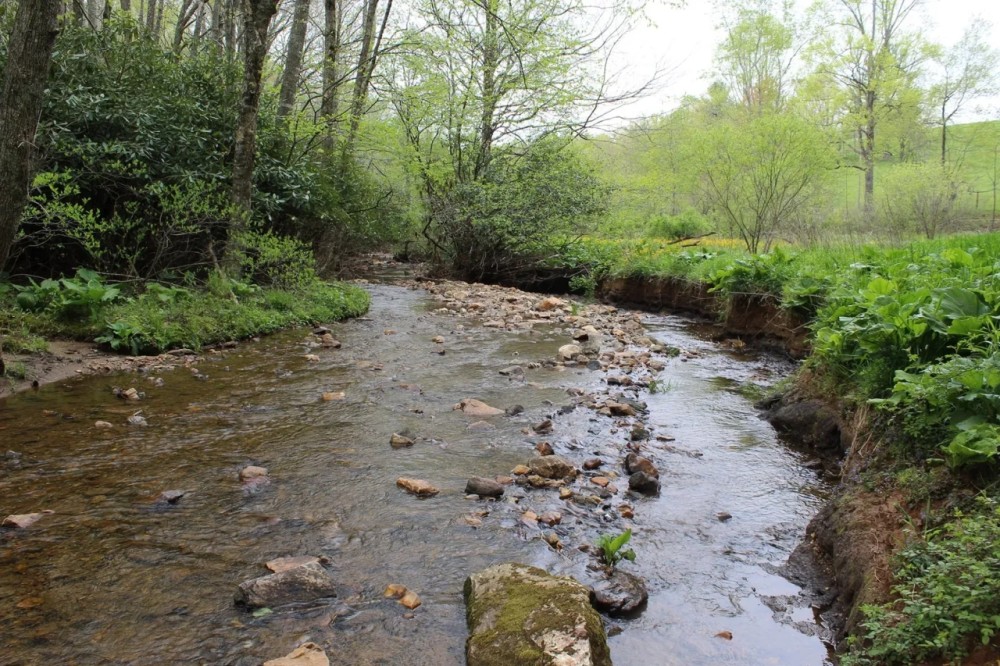 70 Acres in Carroll County Virginia featured image