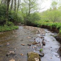70 Acres in Carroll County Virginia