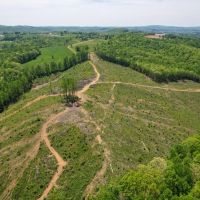 70 Acres in Carroll County Virginia images 3