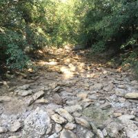 Back on Market 135.69 Acres Brown County images 3