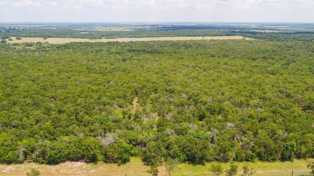 10.01 Acres in Milam County featured image