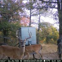 10.01 Acres in Milam County images 2