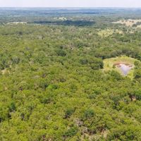 10.01 Acres in Milam County images 5